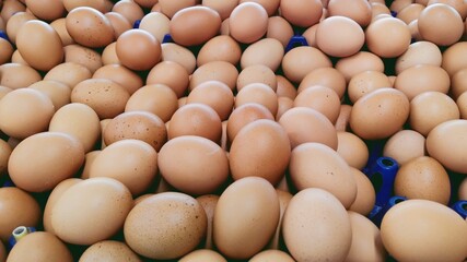 Close-up of a Bountiful Pile of Brown Eggs in a Market Crate