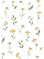 seamless pattern with camomiles