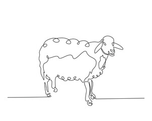 Single sheep outline drawing illustration. one continuous line drawing of sheep.