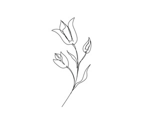 Beautiful flower outline drawing illustration. one continuous line drawing of tulip flower.