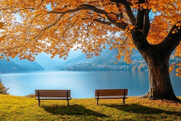 Two benches under autumn tree overlooking lake with mountain backdrop on a sunny day