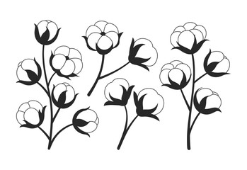 Obraz premium Simple black and white illustration of cotton branches with fluffy bolls