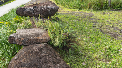 Landscape design of a tropical park, details. Picturesque mossy boulders are stacked along the footpath. Ferns grow among the rocks. Green grass on the lawn. Mauritius. 