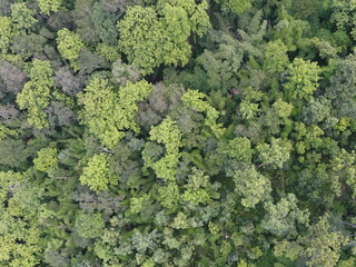 Naklejka premium Top View Aerial Photograph