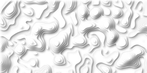 Topography grid map. Contour map background. geometric map relief texture with curved layers and shadow. Realistic papercut decoration textured with wavy vector design. 
