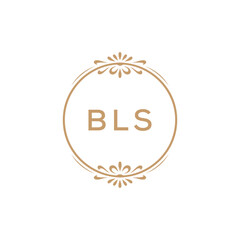 Elegant Monogram Logo Design with Decorative Frame – BLS Luxury Brand Identity Icon
