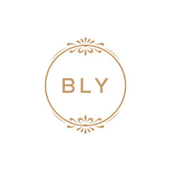 Elegant Monogram Logo Design with Decorative Frame – BLY Luxury Brand Identity Icon
