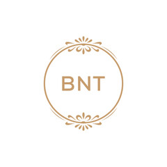 Elegant Monogram Logo Design with Decorative Frame – BNT Luxury Brand Identity Icon
