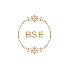 Elegant Monogram Logo Design with Decorative Frame – BSE Luxury Brand Identity Icon
