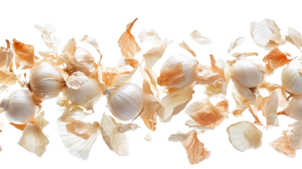 White onions with dry skins Transparent background, PNG
