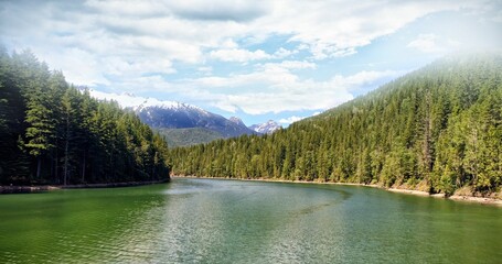 Fototapeta premium Idyllic view of river amidst forest