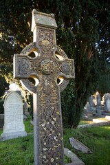 Close-up of tombstone by tree