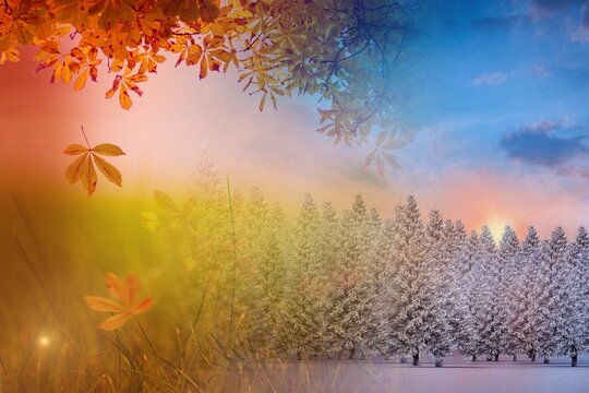 Fototapeta Autumn changing to winter
