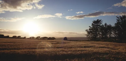 Vitrage gordijnen Landscape of the countryside © vectorfusionart
