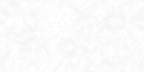 "Sophisticated Topographic Mapping: A Modern Sea Map with Intricate Geometric Line Strips, Abstract Topography, and Minimalist Grid Structures on a White Background"