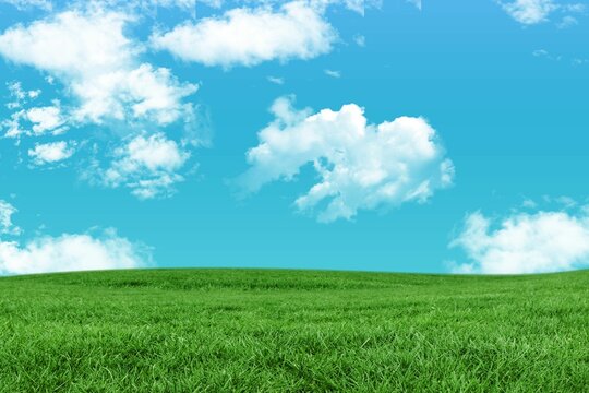 Fototapeta Wide grass field is unfolding in flat design rural meadow under bright sky with fluffy clouds