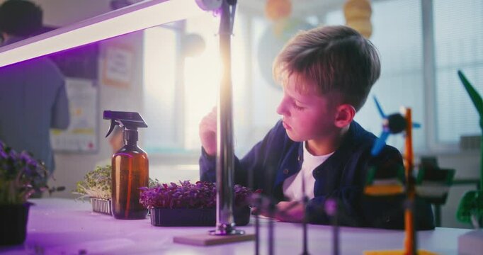 Talented Young Boy Sitting at Table, Conducting Biology Experiment on Microgreen Plants Under Grow Light, Using Tweezer. Primary School Children During Science Lesson in Classroom. STEM Education. - Powered by Adobe