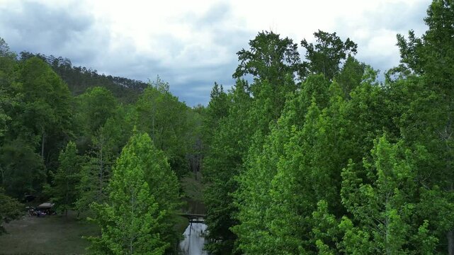 Verdant River Path in Forest Reserve on Honduras, Promote Biodiversity and Eco Experiences