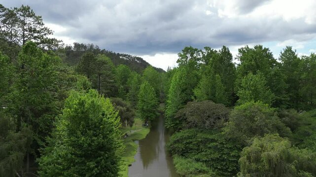 Winding Waterway Through Honduran Woodland, Environmental Awareness Concept