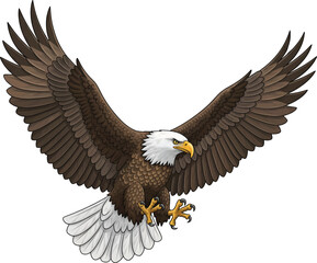 Obraz premium Powerful Bald Eagle in Flight, Vector Illustration