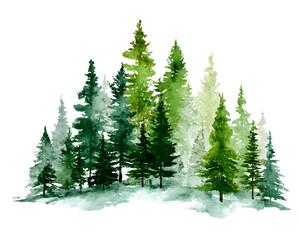 Fototapeta premium Lush Watercolor Evergreen Trees on Transparent Background, PNG