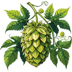 Hop cones on a branch color vector illustration. Image of an ingredient for beer with leaves on an isolated background. For packaging and design