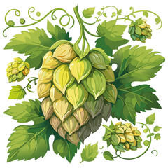 Hop cones on a branch color vector illustration. Image of an ingredient for beer with leaves on an isolated background. For packaging and design