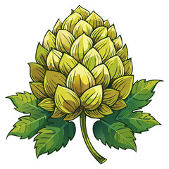 Hop cones on a branch color vector illustration. Image of an ingredient for beer with leaves on an isolated background. For packaging and design
