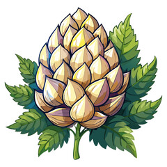 Hop cones on a branch color vector illustration. Image of an ingredient for beer with leaves on an isolated background. For packaging and design