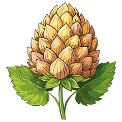 Hop cones on a branch color vector illustration. Image of an ingredient for beer with leaves on an isolated background. For packaging and design