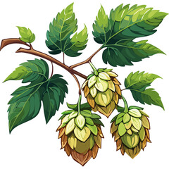 Hop cones on a branch color vector illustration. Image of an ingredient for beer with leaves on an isolated background. For packaging and design