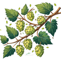 Hop cones on a branch color vector illustration. Image of an ingredient for beer with leaves on an isolated background. For packaging and design