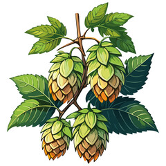 Hop cones on a branch color vector illustration. Image of an ingredient for beer with leaves on an isolated background. For packaging and design