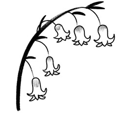 Crayon-Style Bellflower Branch – Hand-Drawn Black and White Floral Art
