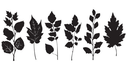 set of leaves silhouettes , black silhouettes isolated on white background