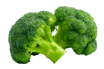 Closeup of two fresh, green broccoli heads isolated on transparent background
