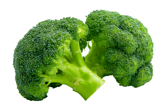 Closeup of two fresh, green broccoli heads isolated on transparent background