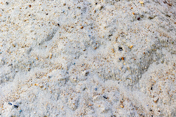 Close-up of sandy beach texture with small pebbles and shell fragments
