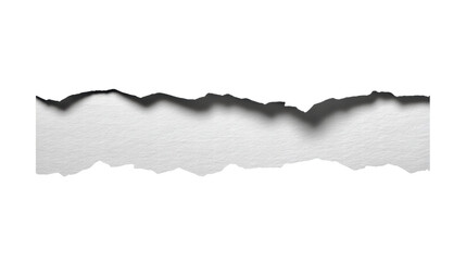 Torn paper isolated on transparent background with rough edge