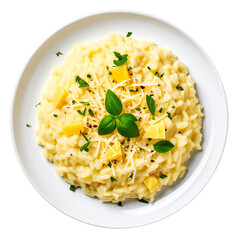 Tasty Cheese Risotto on Minimalist Plate