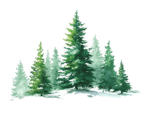 Watercolor Evergreen Trees on Transparent Background, PNG