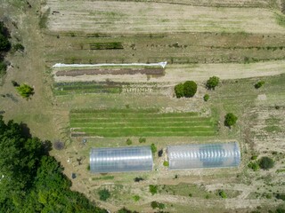 Aerial view of an organic farm in Mt Vernon, Georgia, USA, showing rows of crops, irrigation lines,...