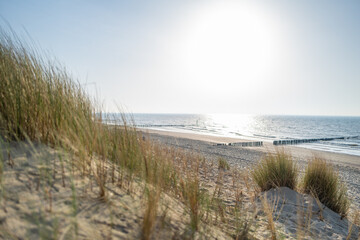 Golden Dune Grass and Ocean View at Sunset – Peaceful Coastal Landscape