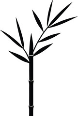 bamboo isolated on white