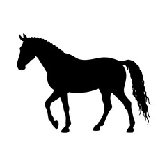 Obraz premium Horse Riding Cartoon Illustration for Kids, Cute Equestrian Clipart, Saddle Pony Drawing, Riding School Art, Animal Training Design