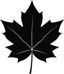 maple leaf on a black