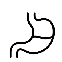 Simple Line Drawing Stomach Anatomy Organ Human Biology Healthcare Icon