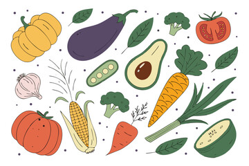 Hand drawn colorful vegetables and salad. Modern abstract minimal style. Healthy organic food. Tomatoes, onion, zucchini, eggplant, leek, potatoes, corn, peppers, beet. Vector flat illustration. 