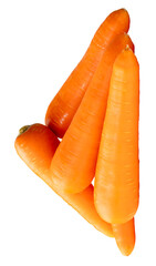 Side view of five fresh orange carrot roots in stack isolated with clipping path in png file format