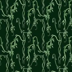 Watercolor tropical liana with leaves illustration for summer rainforest designs. Seamless pattern of exotic plants for spring jungle design. Hand drawn summer climbing vine. Exotic foliage background